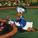 Donald Duck Voice Models.