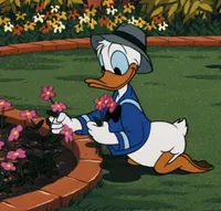 Donald Duck Voice Models.